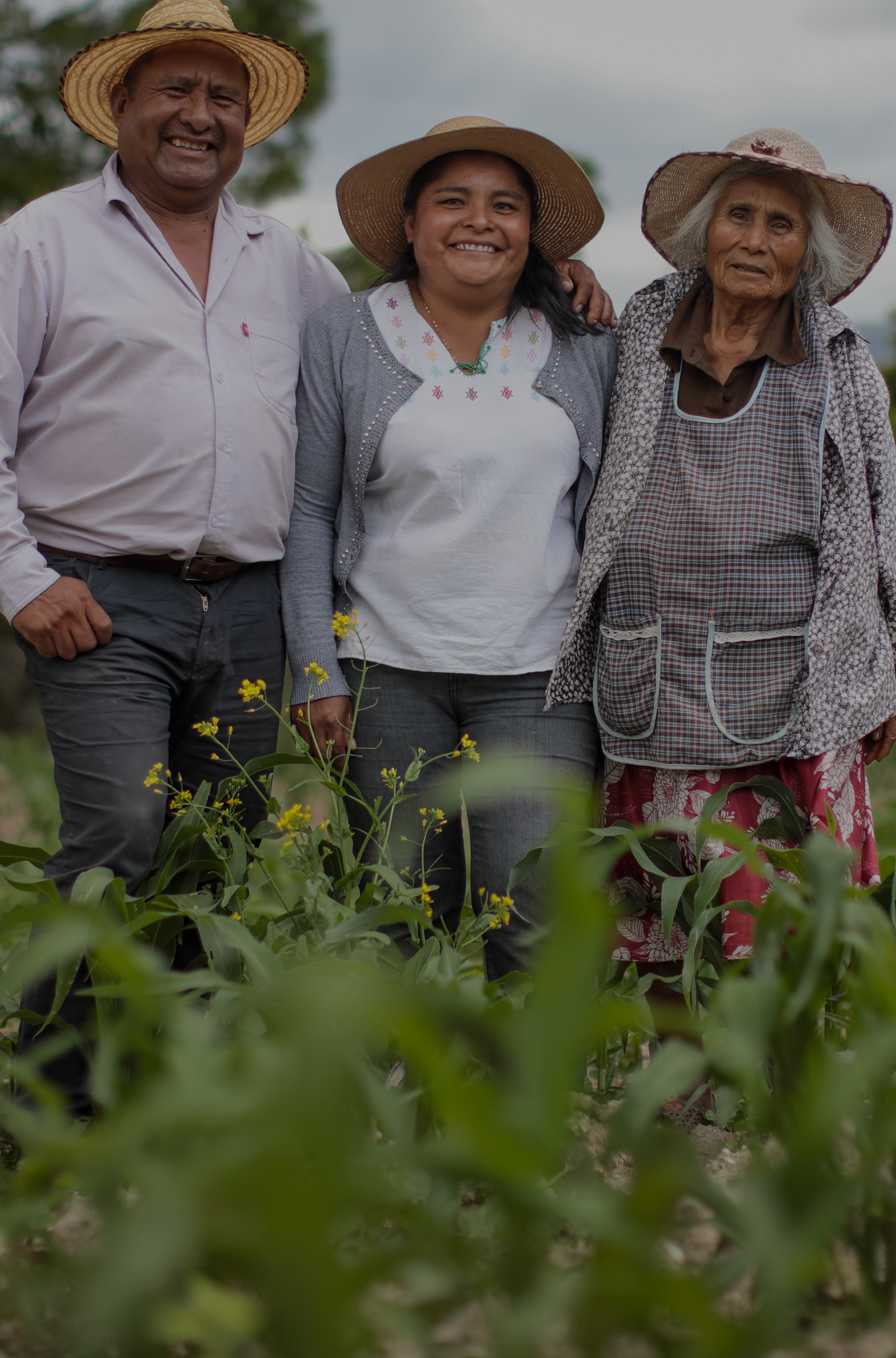 Aj B’inchil | Productores – Cursos en Idioma Mam