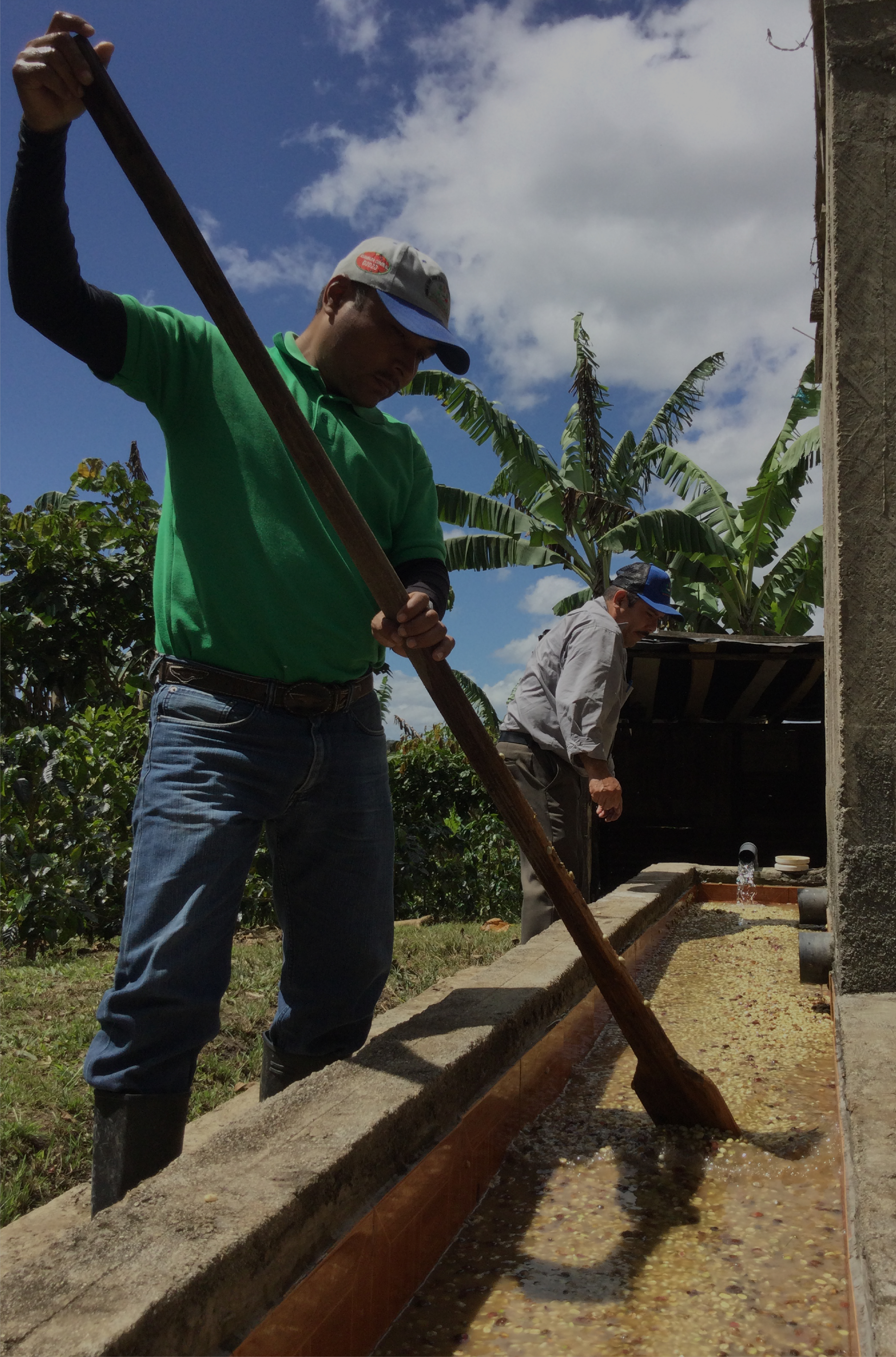 Cosecha Azul Regenerativa