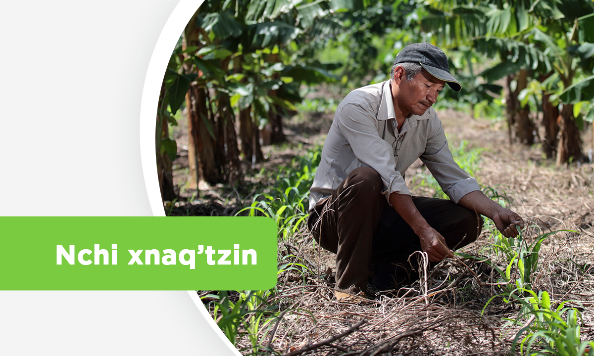 Xnaq’tz 2: Tu’n txi qkayin aq’untl te kojb’il