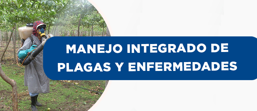 Manejo Integrado de Plagas y Enfermedades