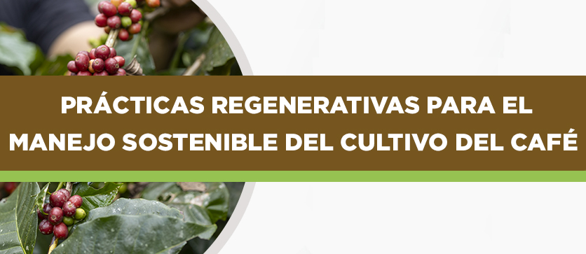 Prácticas Regenerativas para el Manejo Sostenible del Cultivo del Café