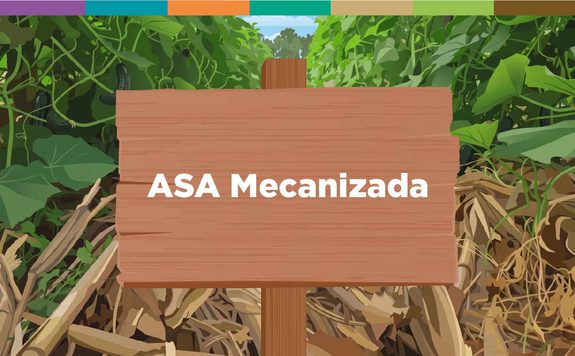 ASA Mecanizada