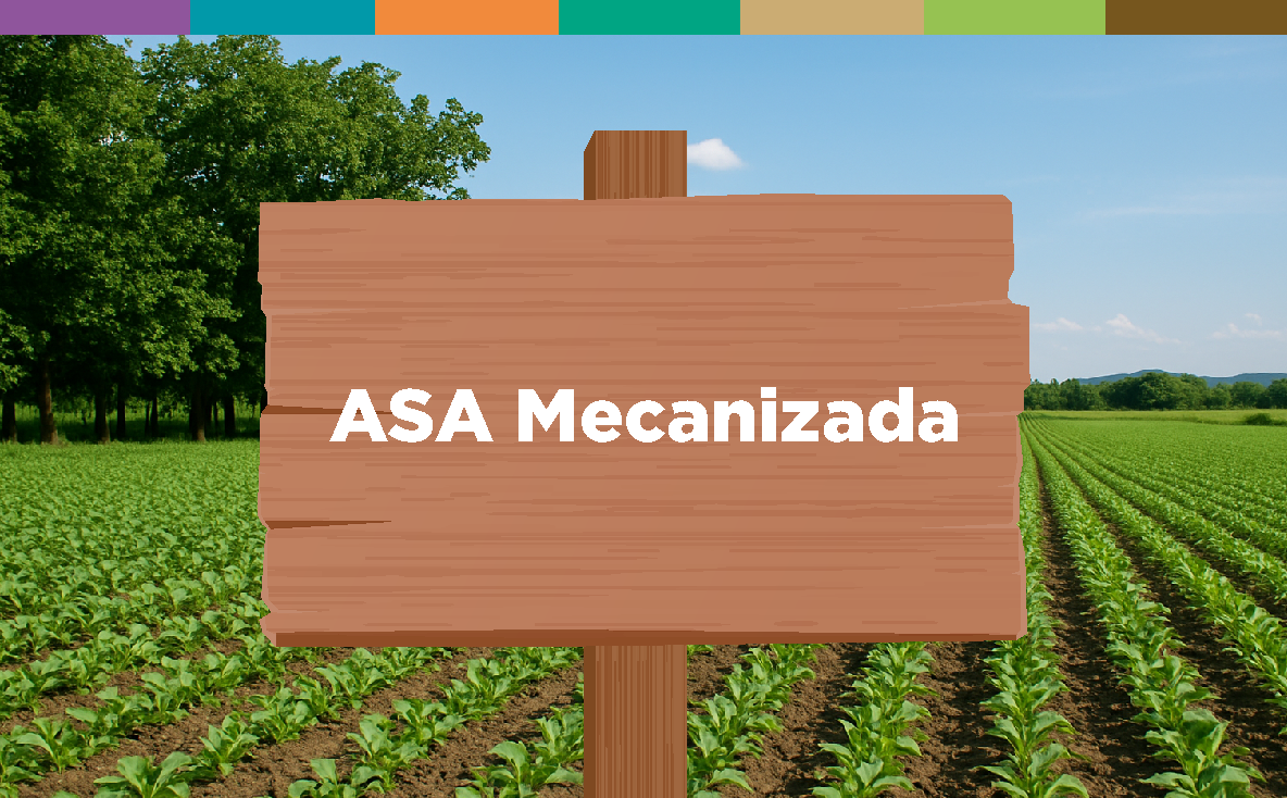 ASA Mecanizada
