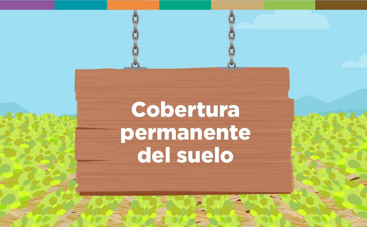Cobertura permanente del suelo