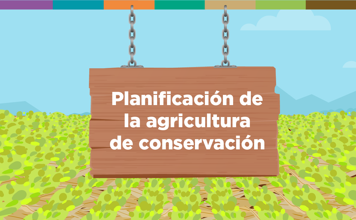 Planificación de la agricultura de conservación