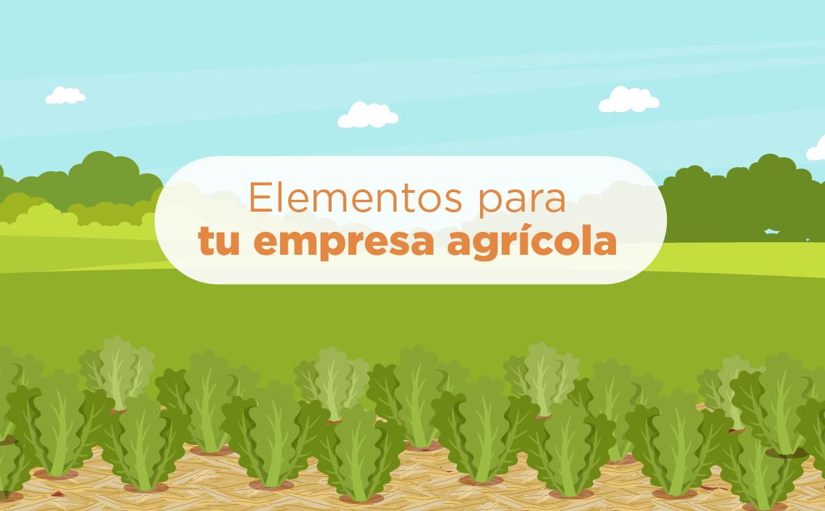 Elementos para tu empresa agrícola