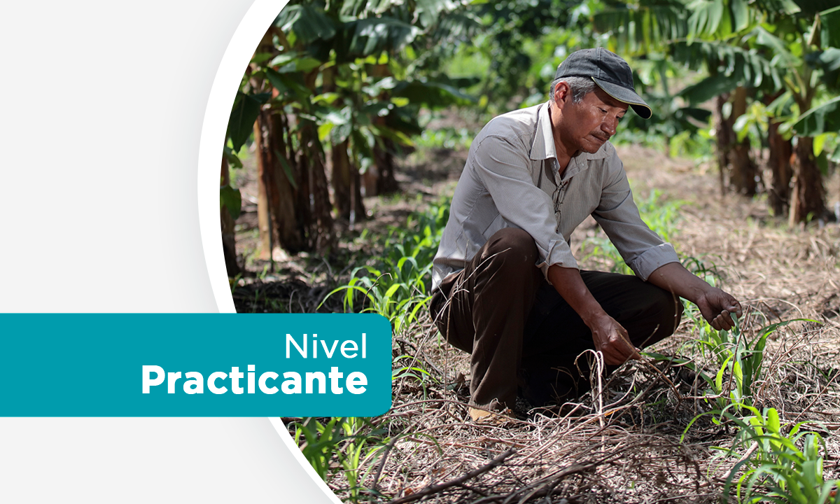 Curso 2: Introducción a la Agricultura de Conservación