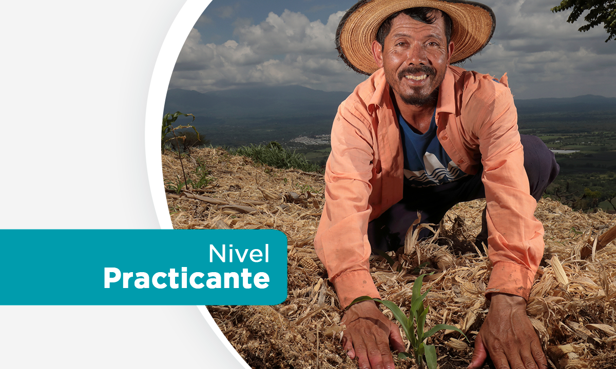 Curso 3: Cobertura Permanente del Suelo