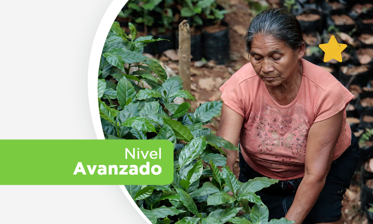 Curso 1: Introducción a la Promoción en Agricultura de Conservación