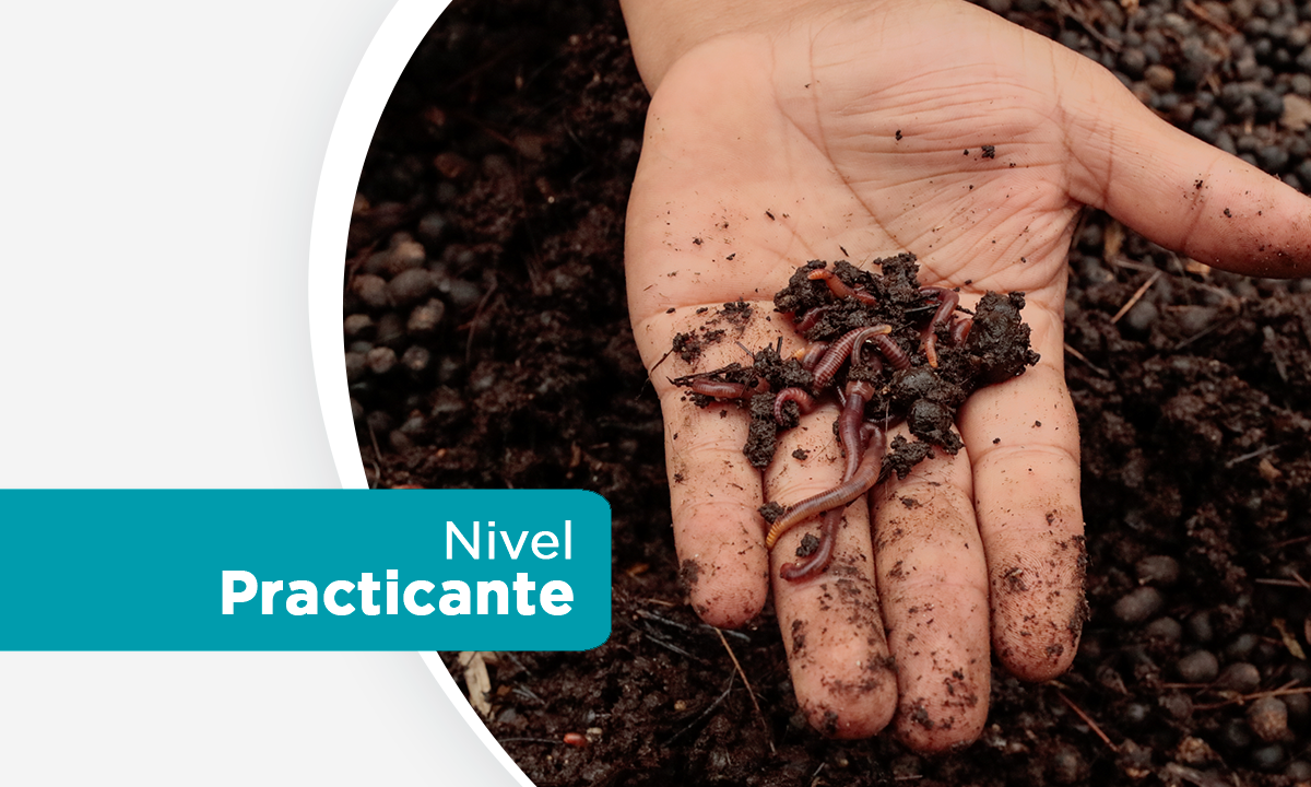 Curso 5: Fertilidad del Suelo