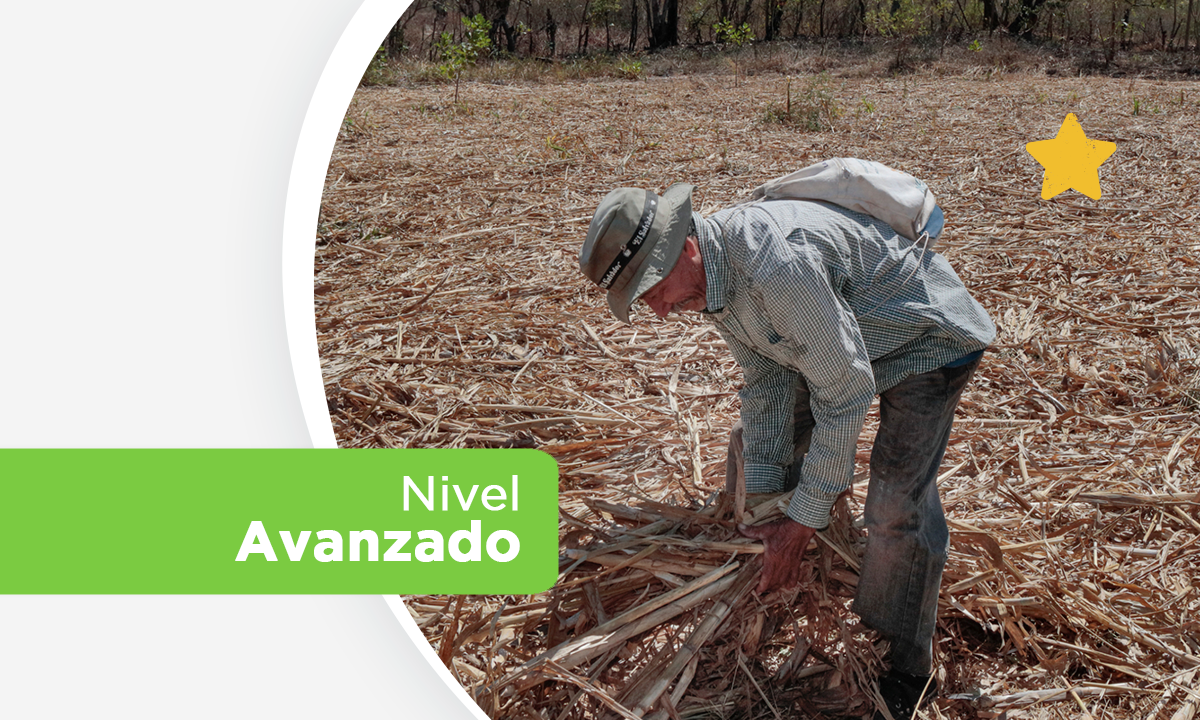 Curso 2: Promoción de la Cobertura Permanente del Suelo