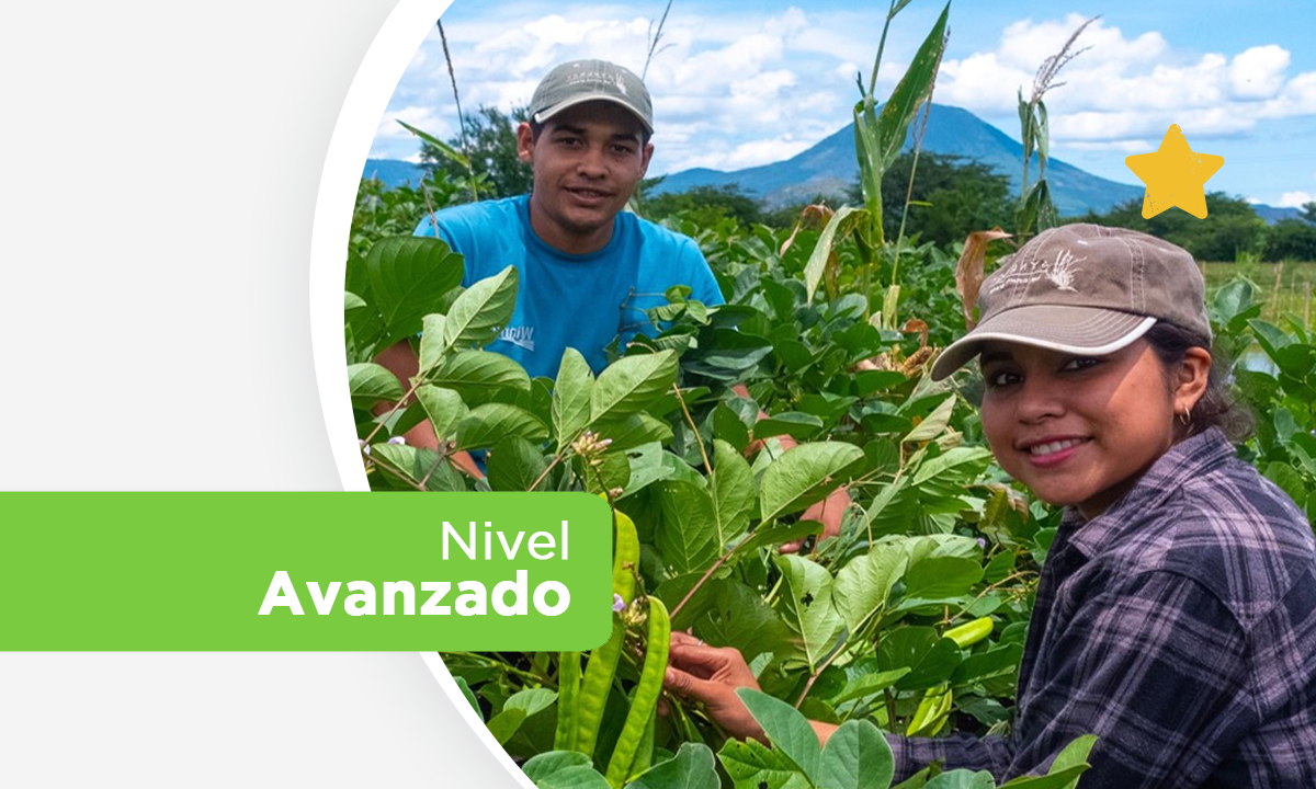 Curso 3: Promoción de los Abonos Verdes