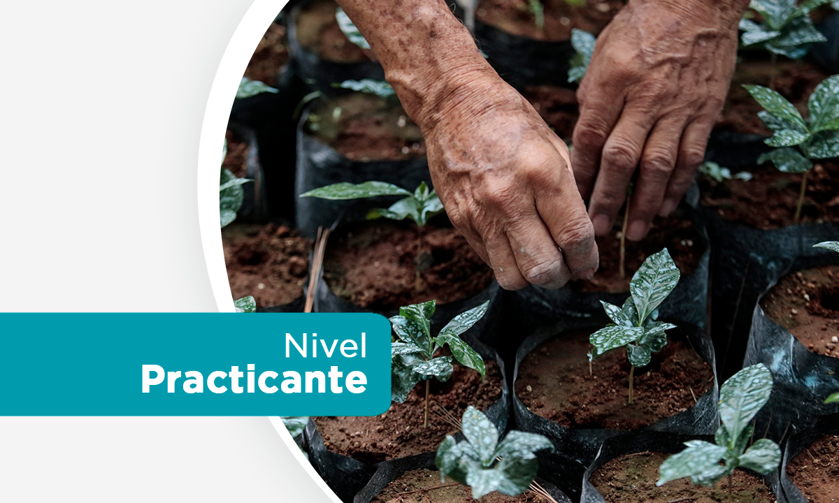 Curso 7: Planificación de la Agricultura de la Conservación